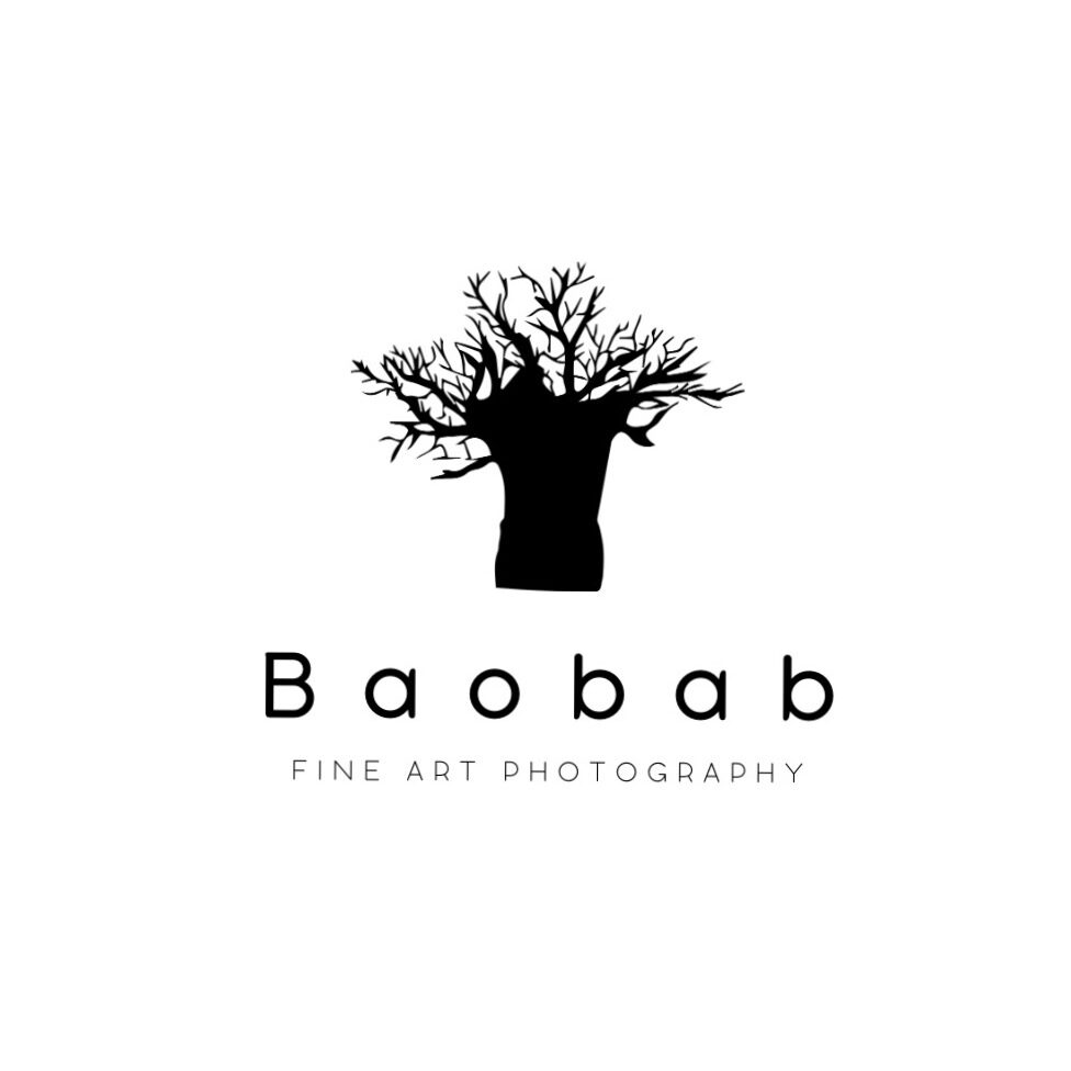 Baobab studio